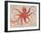 Nautical Octopus - Horizontal-Angela Staehling-Framed Premium Giclee Print