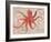 Nautical Octopus - Horizontal-Angela Staehling-Framed Premium Giclee Print