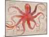 Nautical Octopus - Horizontal-Angela Staehling-Mounted Premium Giclee Print