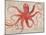 Nautical Octopus - Horizontal-Angela Staehling-Mounted Premium Giclee Print