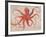 Nautical Octopus - Horizontal-Angela Staehling-Framed Premium Giclee Print