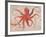 Nautical Octopus - Horizontal-Angela Staehling-Framed Premium Giclee Print