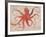 Nautical Octopus - Horizontal-Angela Staehling-Framed Premium Giclee Print