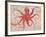 Nautical Octopus - Horizontal-Angela Staehling-Framed Premium Giclee Print