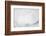 Nautical sand dollars-Savanah Plank-Framed Photo