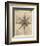 Nautical Series - Nautical Star-Sparx Studio-Framed Art Print