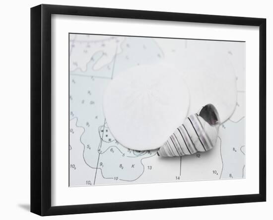 Nautical shell and sand dollar-Savanah Plank-Framed Photo