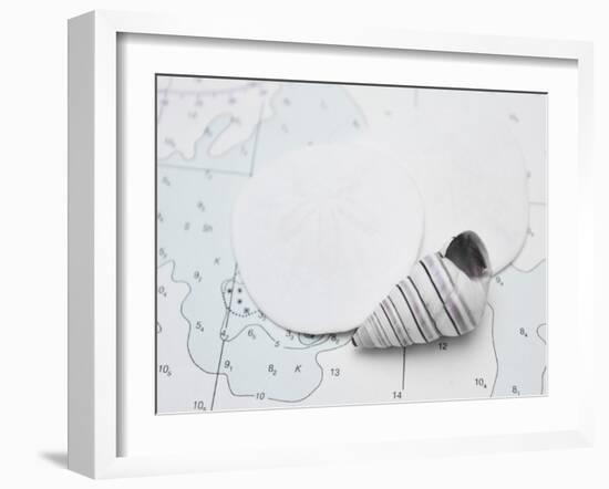 Nautical shell and sand dollar-Savanah Plank-Framed Photo