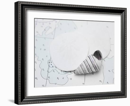 Nautical shell and sand dollar-Savanah Plank-Framed Photo