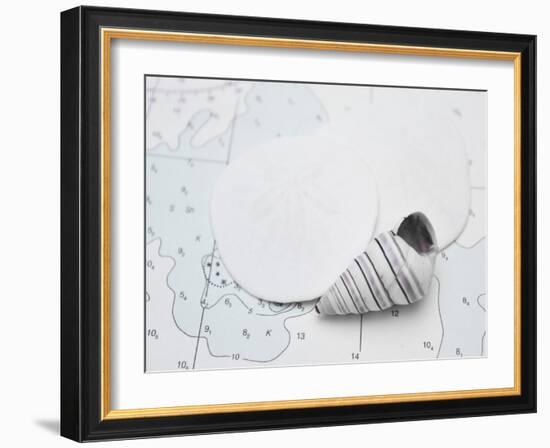 Nautical shell and sand dollar-Savanah Plank-Framed Photo