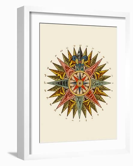 Nautical Star-Fab Funky-Framed Art Print