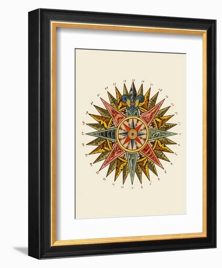 Nautical Star-Fab Funky-Framed Art Print