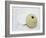 Nautical Urchin-Savanah Plank-Framed Photo