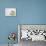 Nautical Urchin-Savanah Plank-Mounted Photo displayed on a wall