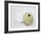 Nautical Urchin-Savanah Plank-Framed Photo