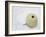 Nautical Urchin-Savanah Plank-Framed Photo