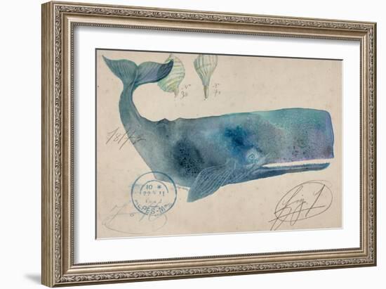 Nautical Whale - Horizontal-Angela Staehling-Framed Art Print