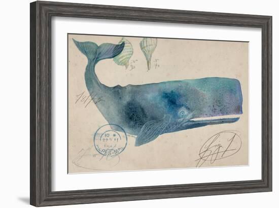 Nautical Whale - Horizontal-Angela Staehling-Framed Art Print