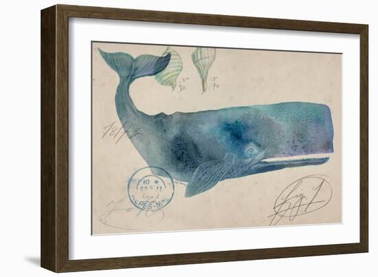 Nautical Whale - Horizontal-Angela Staehling-Framed Art Print