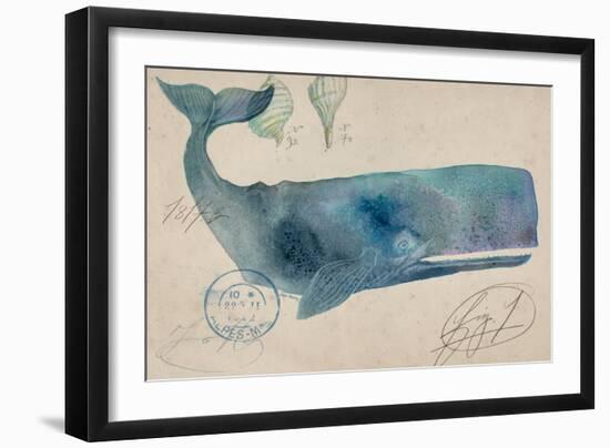 Nautical Whale - Horizontal-Angela Staehling-Framed Art Print