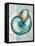 Nautical World III-Elizabeth Medley-Framed Stretched Canvas