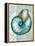 Nautical World III-Elizabeth Medley-Framed Stretched Canvas