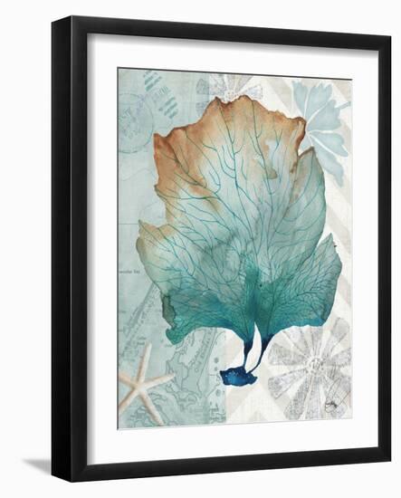 Nautical World IV-Elizabeth Medley-Framed Art Print