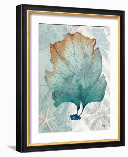 Nautical World IV-Elizabeth Medley-Framed Art Print