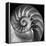 Nautilus 2-Moises Levy-Framed Stretched Canvas