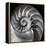 Nautilus 2-Moises Levy-Framed Stretched Canvas