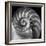 Nautilus 2-Moises Levy-Framed Photographic Print