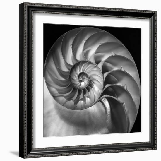 Nautilus 2-Moises Levy-Framed Photographic Print