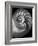 Nautilus 3-2-Moises Levy-Framed Photographic Print