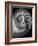 Nautilus 3-2-Moises Levy-Framed Photographic Print