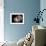 Nautilus 3-Moises Levy-Framed Photographic Print displayed on a wall