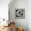 Nautilus 4-Moises Levy-Framed Photographic Print displayed on a wall