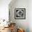 Nautilus 4-Moises Levy-Framed Photographic Print displayed on a wall