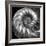 Nautilus 4-Moises Levy-Framed Photographic Print