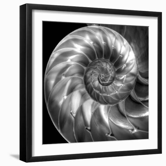 Nautilus 4-Moises Levy-Framed Photographic Print