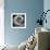 Nautilus 4-Moises Levy-Framed Photographic Print displayed on a wall
