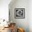 Nautilus 4-Moises Levy-Framed Photographic Print displayed on a wall
