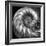 Nautilus 4-Moises Levy-Framed Photographic Print