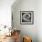 Nautilus 4-Moises Levy-Framed Photographic Print displayed on a wall