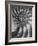 Nautilus 5-Moises Levy-Framed Photographic Print