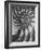 Nautilus 5-Moises Levy-Framed Photographic Print