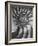 Nautilus 5-Moises Levy-Framed Photographic Print