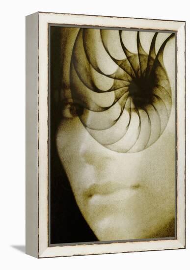 Nautilus And Woman's Face-Hannah Gal-Framed Premier Image Canvas