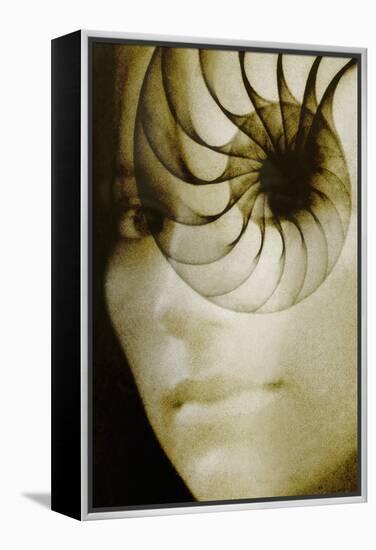 Nautilus And Woman's Face-Hannah Gal-Framed Premier Image Canvas