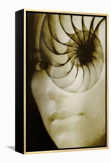 Nautilus And Woman's Face-Hannah Gal-Framed Premier Image Canvas