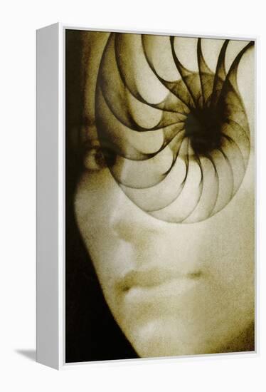 Nautilus And Woman's Face-Hannah Gal-Framed Premier Image Canvas